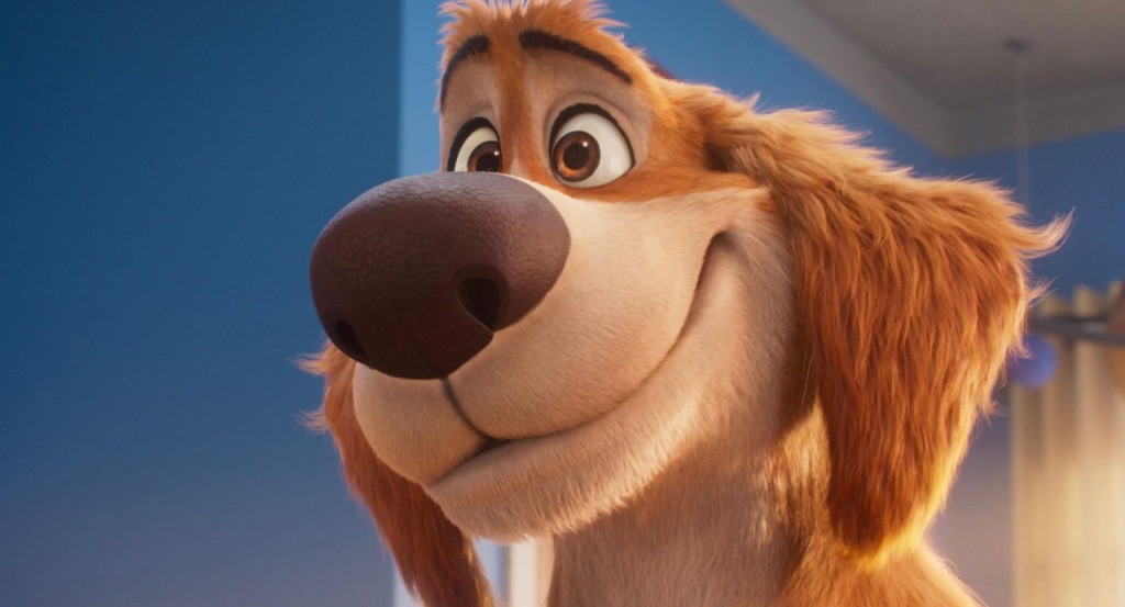 actualité Biscuit le chien fantastique